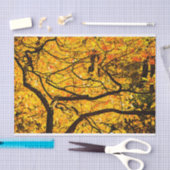 Goldene Adern des Herbstes Seidenpapier (Handwerk)