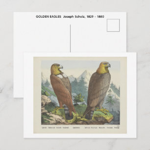 GOLDENE ADLER Joseph Scholz, 1829 - 1880 Postkarte