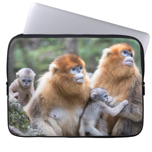 Goldene Affenfamilie Laptopschutzhülle (Vorderseite)