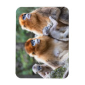 Goldene Affenfamilie Magnet (Vertikal)