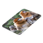 Goldene Affenfamilie Magnet (Linke Seite)