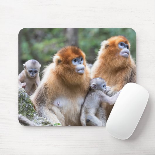 Goldene Affenfamilie Mousepad (Mit Mouse)