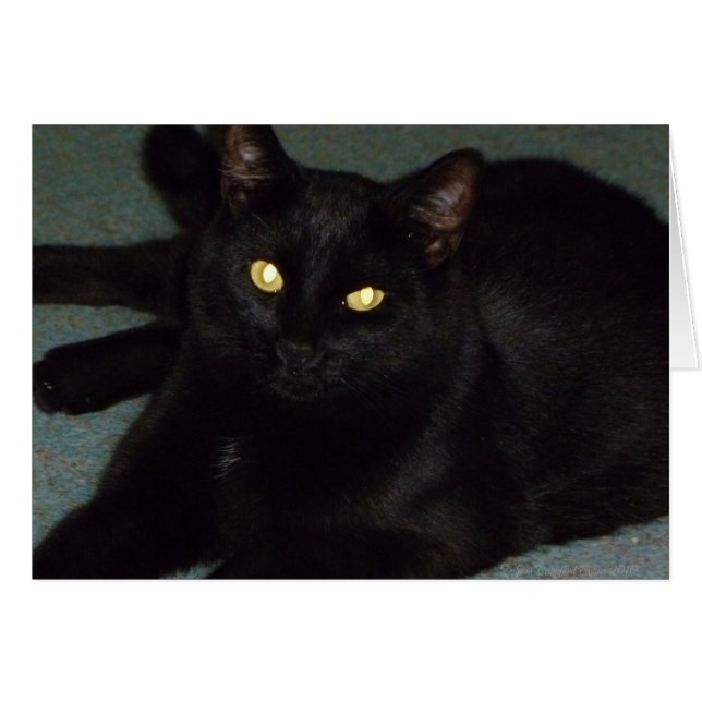 Goldene Augen (Vorderseite (Horizontal))