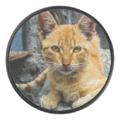 Goldene Augen Eishockey Puck (Vorderseite)