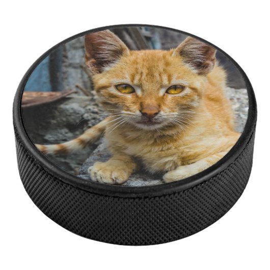 Goldene Augen Eishockey Puck (3/4)