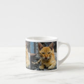 Goldene Augen Espressotasse (Rechts)