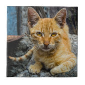 Goldene Augen Fliese (Vorderseite)