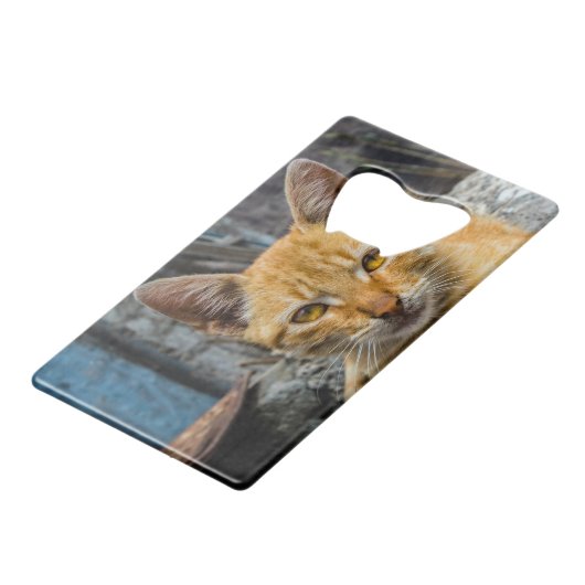 Goldene Augen Geldbeutel Flaschenöffner (Vorderseite Schrägansicht)