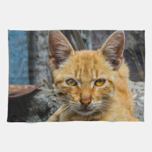 Goldene Augen Geschirrtuch