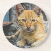 Goldene Augen Getränkeuntersetzer (Vorne)