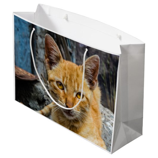 Goldene Augen Große Geschenktüte (Rückseite Schrägansicht)