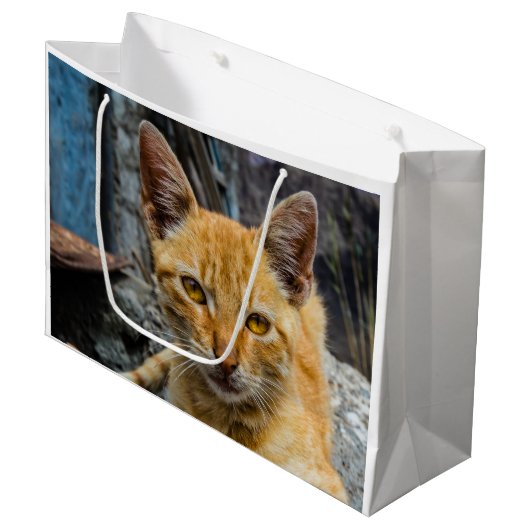 Goldene Augen Große Geschenktüte (Vorderseite Schrägansicht)