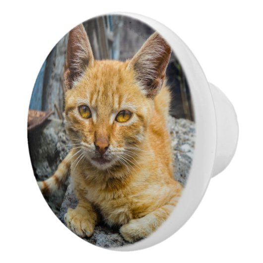 Goldene Augen Keramikknauf (Rechts)