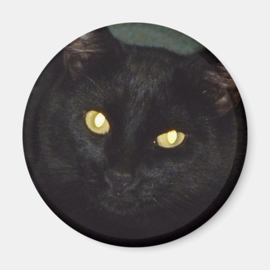 Goldene Augen Magnet (Vorne)