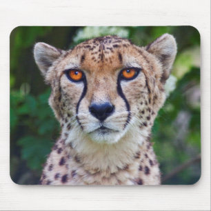 Goldene Augen-Mauspad Mousepad