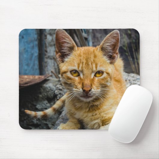 Goldene Augen Mousepad (Mit Mouse)