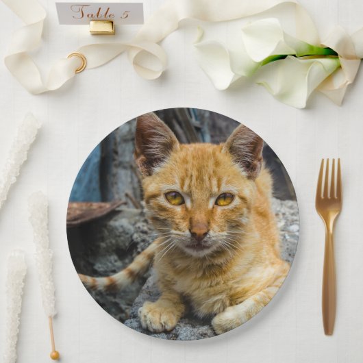 Goldene Augen Pappteller (Hochzeit)