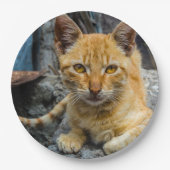 Goldene Augen Pappteller (Vorderseite)