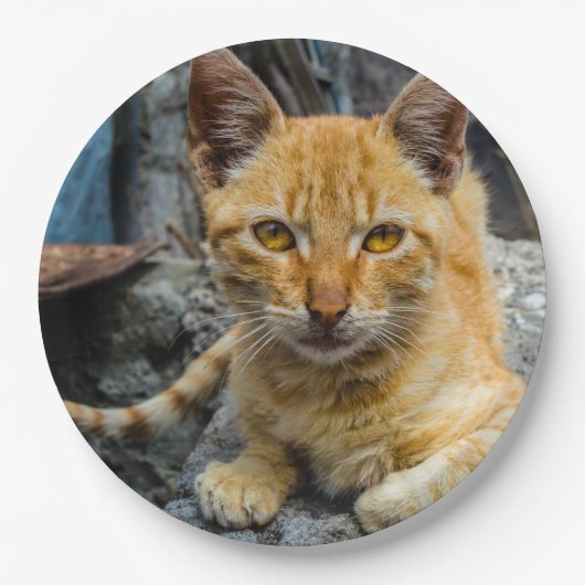 Goldene Augen Pappteller (Vorderseite)