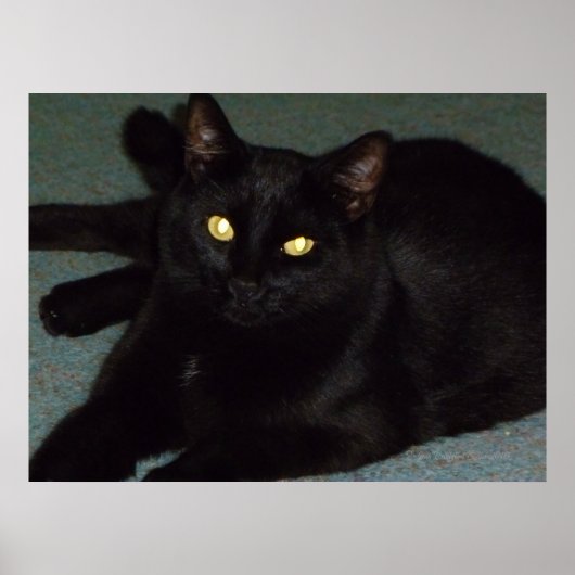 Goldene Augen Poster (Vorne)