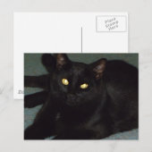 Goldene Augen Postkarte (Vorne/Hinten)