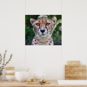 Goldene Augen Print Poster (Küche)