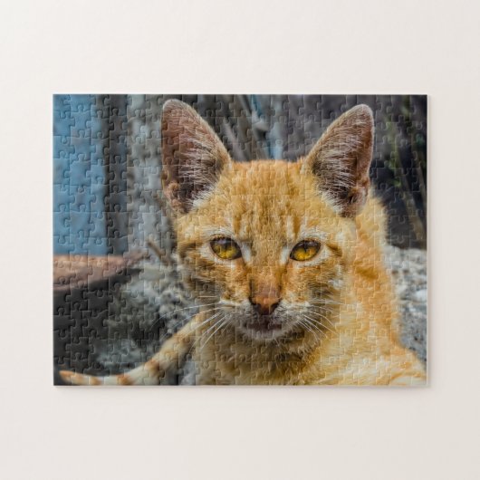 Goldene Augen Puzzle (Horizontal)