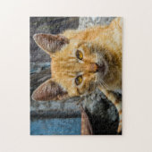 Goldene Augen Puzzle (Vertikal)