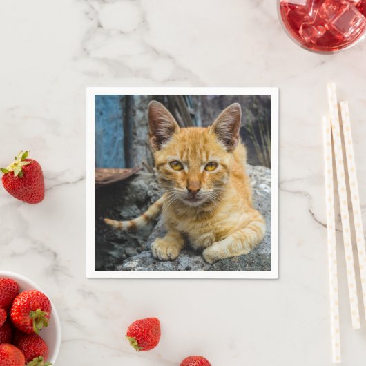 Goldene Augen Serviette (Beispiel)