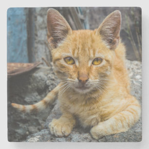 Goldene Augen Steinuntersetzer