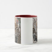 Goldene Augen Tasse (Zentrum)