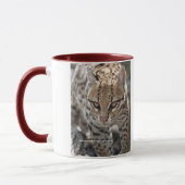 Goldene Augen Tasse (Links)