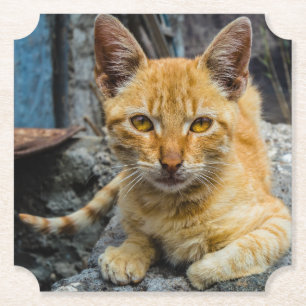 Goldene Augen Untersetzer