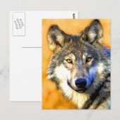 Goldene Augen (Wolf) Postkarten (Vorne/Hinten)