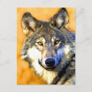 Goldene Augen (Wolf) Postkarten