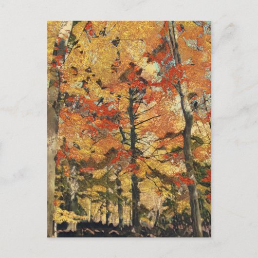 Goldene Bäume Postkarte (Vorderseite)