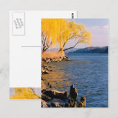 Goldene Bäume Postkarte (Vorne/Hinten)