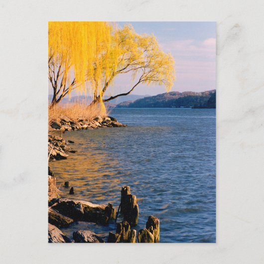 Goldene Bäume Postkarte (Vorderseite)