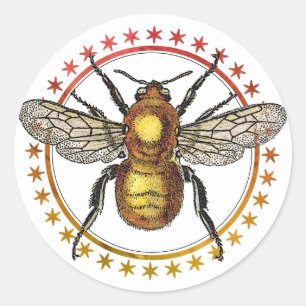 Goldene Bienen und Sterne Runder Aufkleber