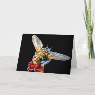 Goldene Bienenstockkarte Karte