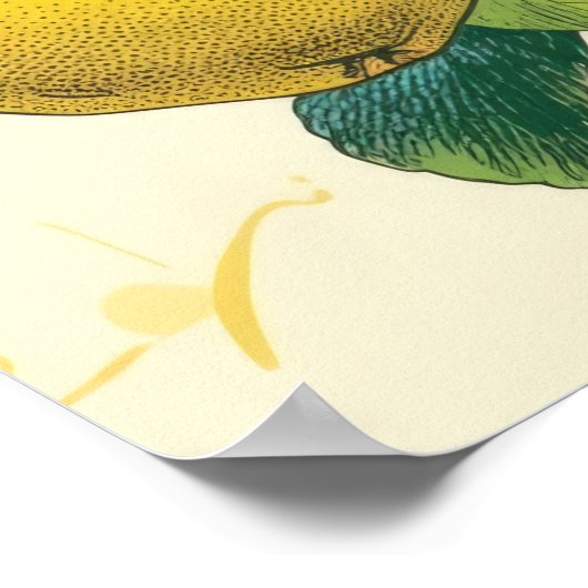 Goldene Birne Poster (Ecke)