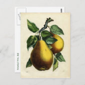 Goldene Birnen Postkarte (Vorne/Hinten)