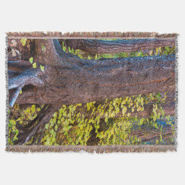 Goldene Blätter auf dem Westgabelpfad Decke