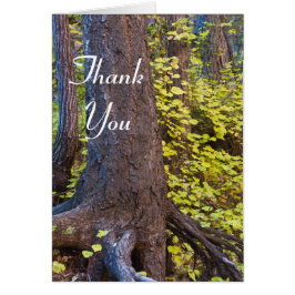 Goldene Blätter auf dem Westgabelpfad. Vielen Dank