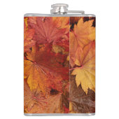 GOLDENE BLÄTTER DER AUTUMN FLACHMANN (Rückseite)