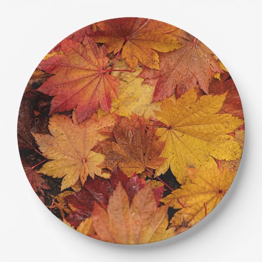 GOLDENE BLÄTTER DER AUTUMN PAPPTELLER (Vorderseite)