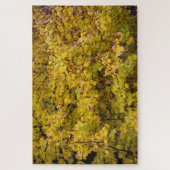 Goldene Blätter des Herbstes - 20 x 30 Zoll Puzzle (Vertikal)