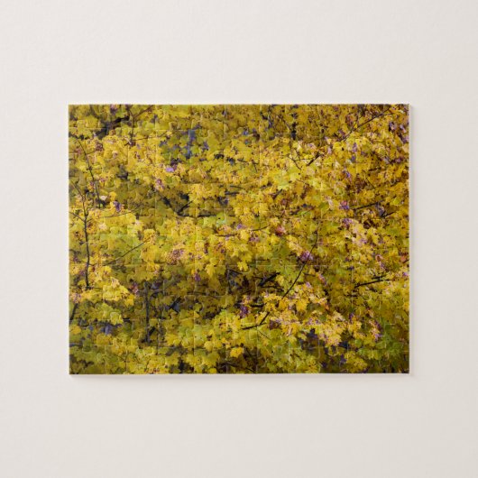 Goldene Blätter des Herbstes - 8 x 10 Zoll Puzzle (Horizontal)