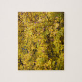 Goldene Blätter des Herbstes - 8 x 10 Zoll Puzzle (Vertikal)