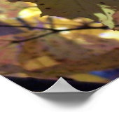 Goldene Blätter des Herbstes Poster (Ecke)